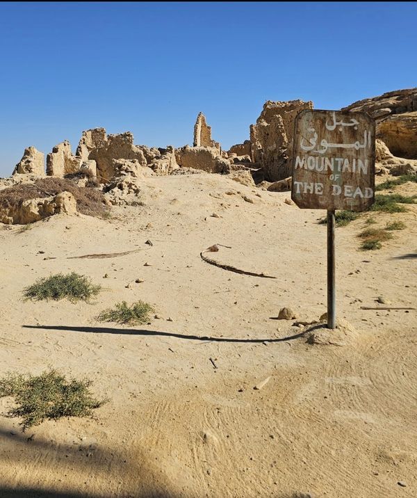 Forteresse de Shali