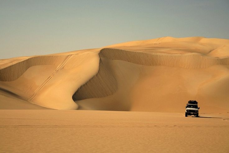 Safari dans le désert