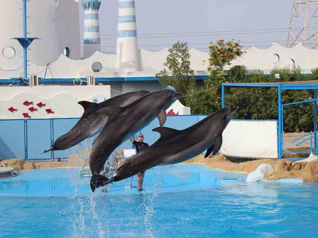 赫尔格达水族馆