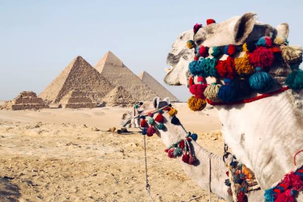 Pyramides de Gizeh