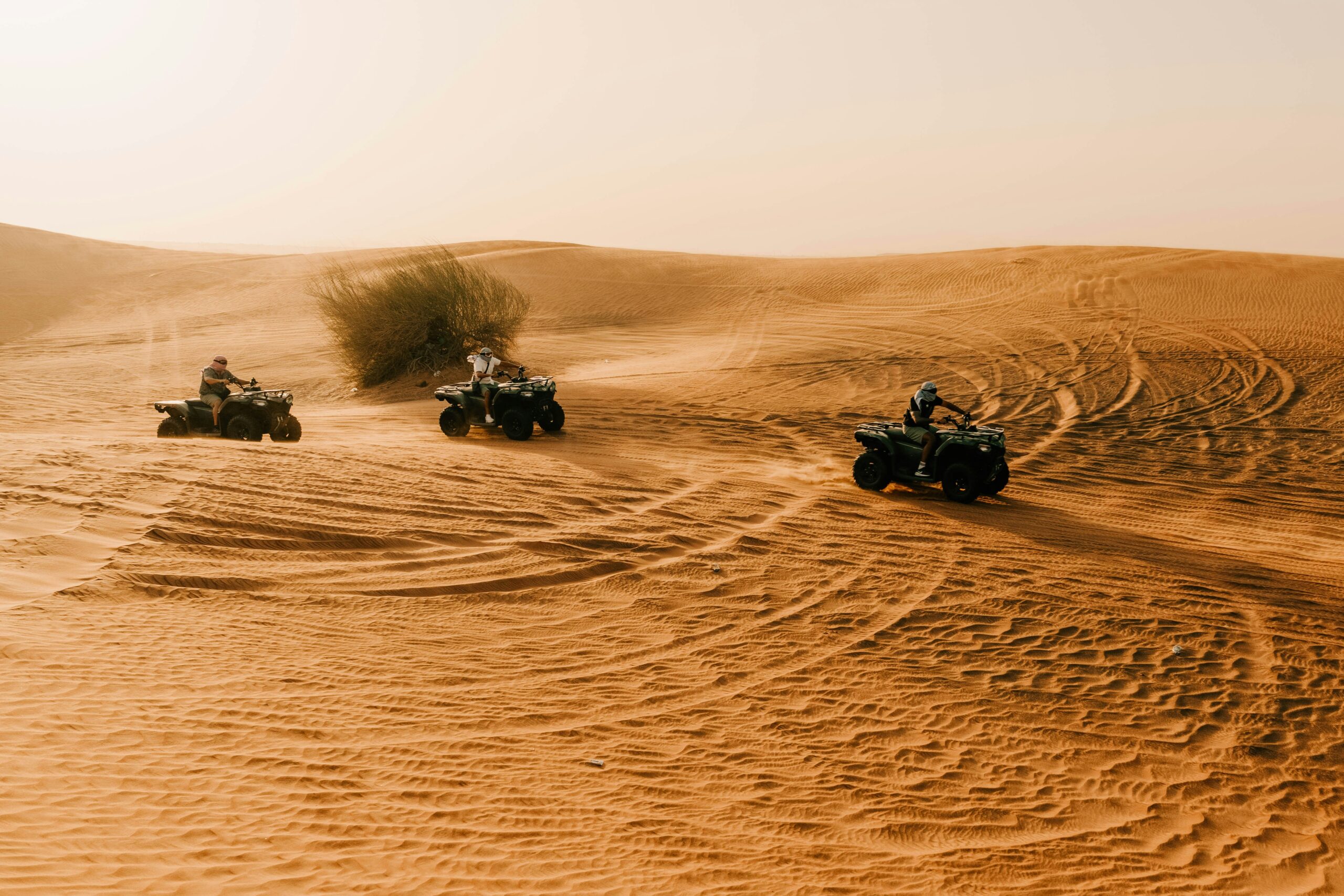 Safari dans le désert