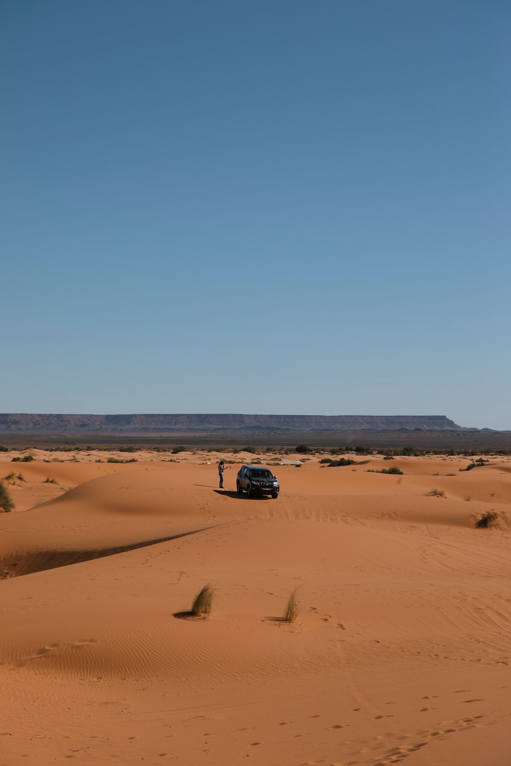 Safari dans le désert