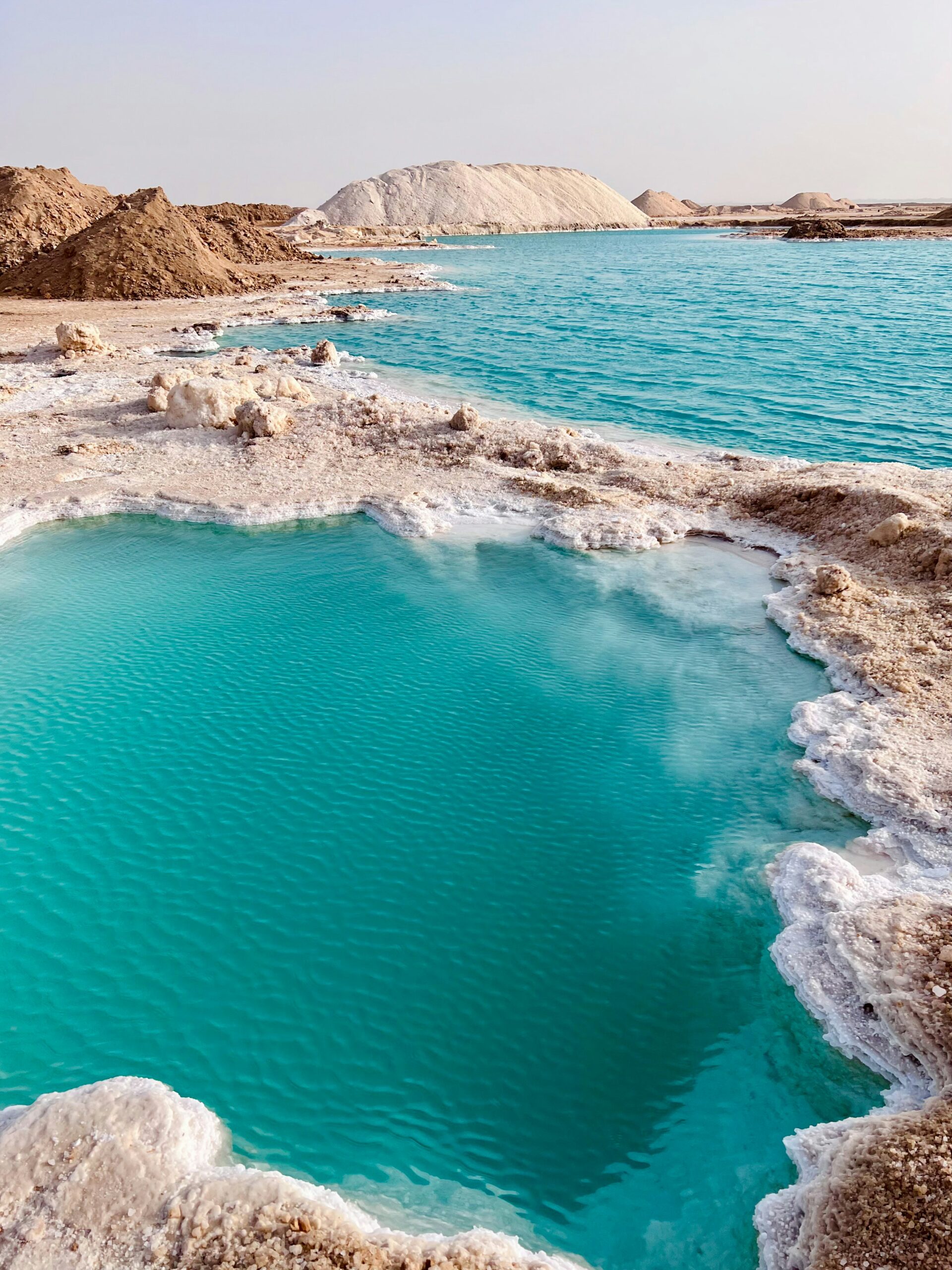 Oasis de Siwa